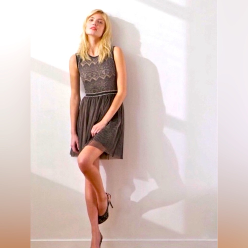 Anthropologie Winter Dulcie Taffeta Dress